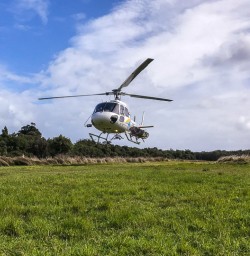 Helicopter Landing at Hollyford Valley, Fiordland National Park Southland New Zealand