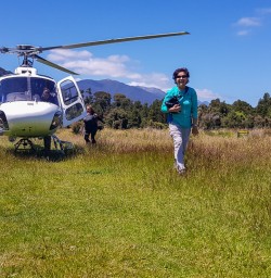 Helicopter landing at Martins Bay, Fiordland New Zealand
