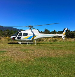 Our transport to Martin's Bay lodge on the coastal end of the Hollyford track.