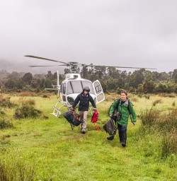 Helicopter landing at Martins Bay, Fiordland New Zealand
