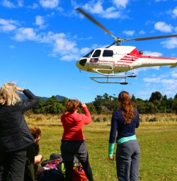 9 helicopter tour hollyford valley fiordland2