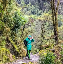Hiking in Pororari National Park