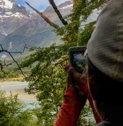 Hollyford river, Fiordland New Zealand