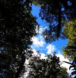 Helicopter Tour at Hollyford Valley