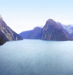 helicopter experience at hollyford valley
