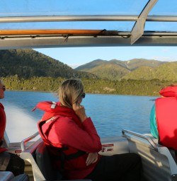 9 jetboat hollyford valley fiordland southland