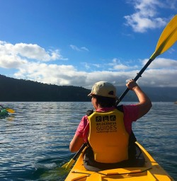The best way to see the sounds without a doubt. Lochmara Bay