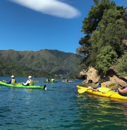 Kayaking at Marlborough Sounds, New Zealand