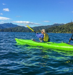 Kayaking Marlborough Sounds, New Zealand