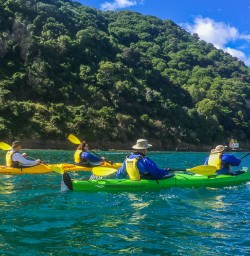 Kayaking Marlborough Sounds, New Zealand