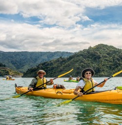 Kayaking the Marlborough Sounds, New Zealand
