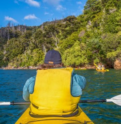 Kayaking the Marlborough Sounds, New Zealand