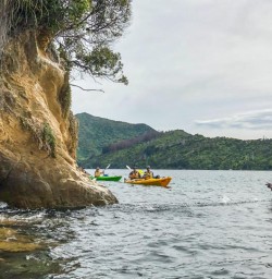 Kayaking at Marlborough Sounds, New Zealand