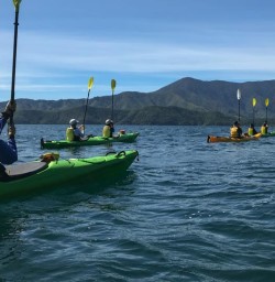 Kayaking at Marlborough Sounds, New Zealand