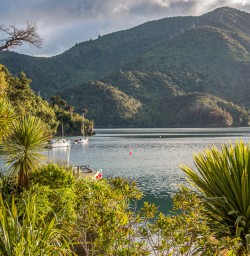Marlborough Sounds, New Zealand