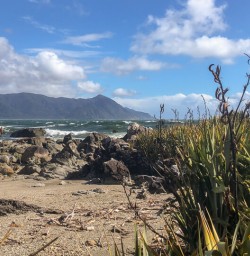 Martins Bay, Fiordland New Zealand