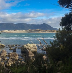Martins Bay, Fiordland New Zealand