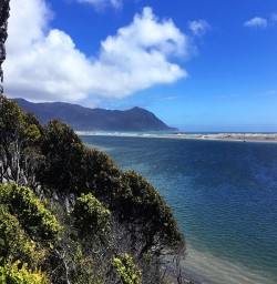 Martins Bay