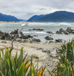 Martins Bay, Fiordland National Park Southland New Zealand
