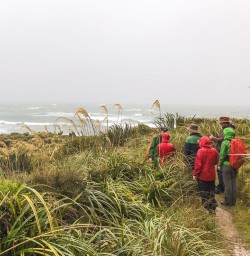 Walking the Martins Bay, Fiordland National Park Southland New Zealand