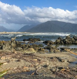 Martins Bay, Fiordland National Park Southland New Zealand