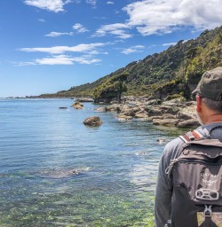Martins Bay, Fiordland New Zealand