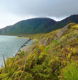 view on martins bay 