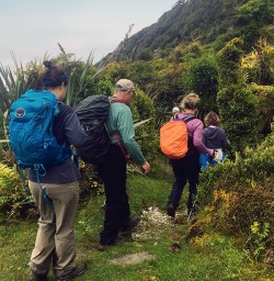 Martins Bay Hiking