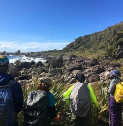 Hiking to Martins Bay Seal Colony