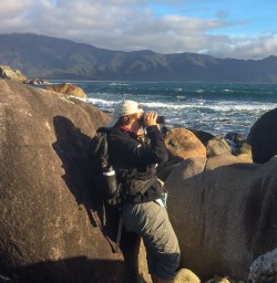 Martins Bay Seal Colony, Fiordland New Zealand