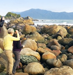 seal colony at martins bay