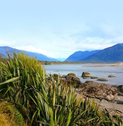 view on martins bay