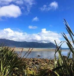 Martins Bay