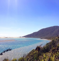 view of the hollyford river mouth