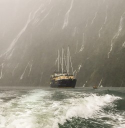 Milford Mariner at Fiordland, New Zealand