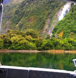 Sterling Falls at Milford Sound.