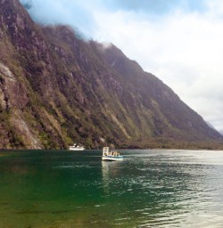 boat at milford sound