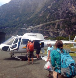milford sound helicopter experience 