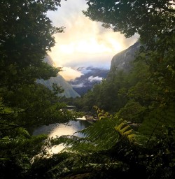 The Arthur River valley on the Milford Track looking stunning