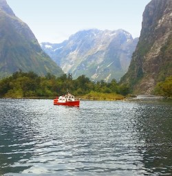 milford track boat