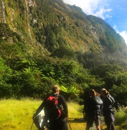 Starting out on the Milford Track. Our guides bringing up the rear with the supplies!
