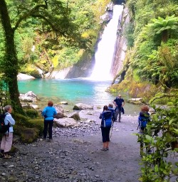 milford track falls