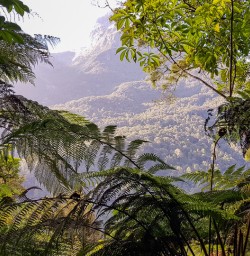 Milford Track, Fiordland New Zealand