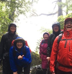 Hollyford Track