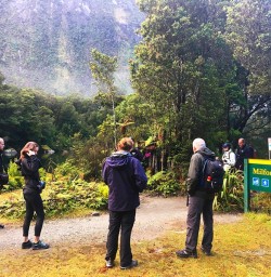 Our 'World Heritagers' walking the Milford Track