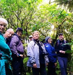 Hiking Milford Sound Track Rainforest