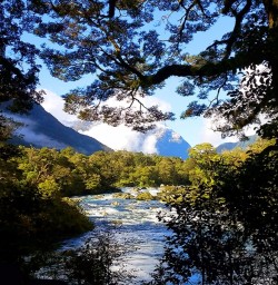 Milford Track