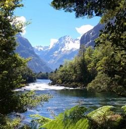 Milford Track