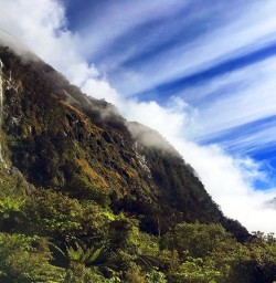 Milford Track Cliffs