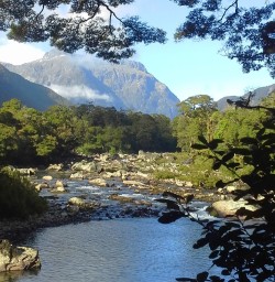 milford track river
